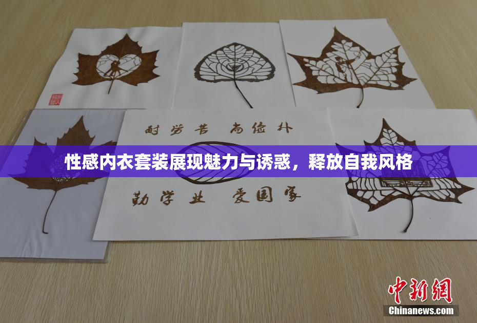 性感内衣套装展现魅力与诱惑，释放自我风格