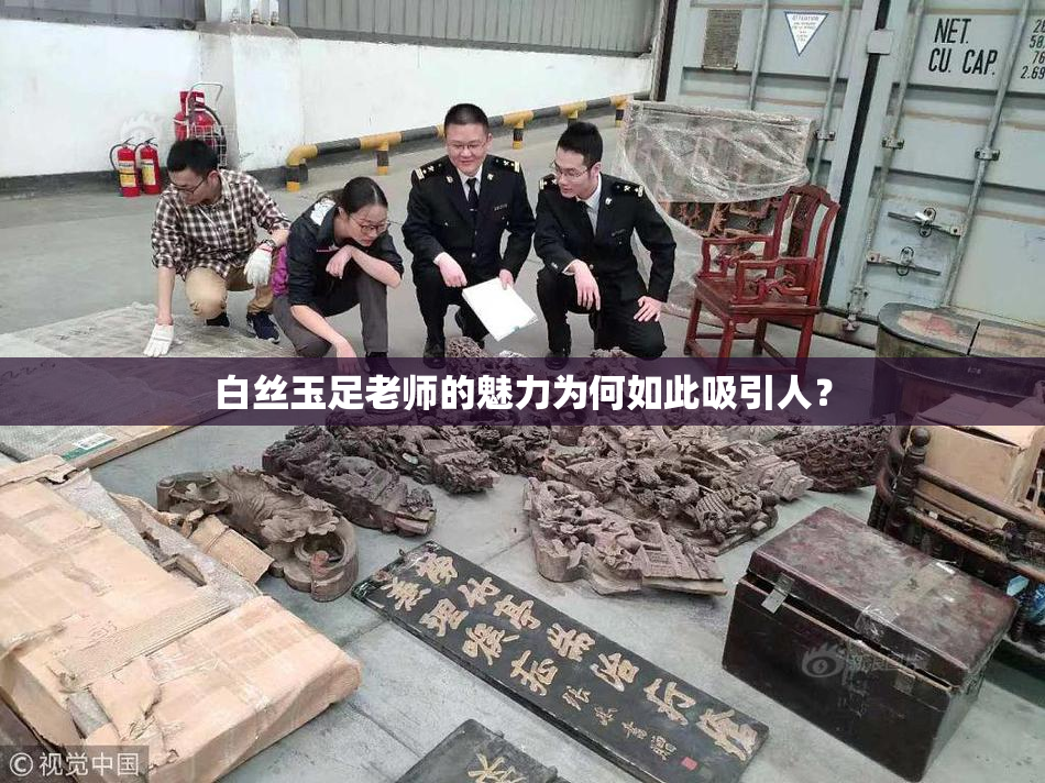 白丝玉足老师的魅力为何如此吸引人？