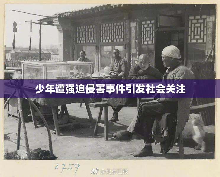 少年遭强迫侵害事件引发社会关注
