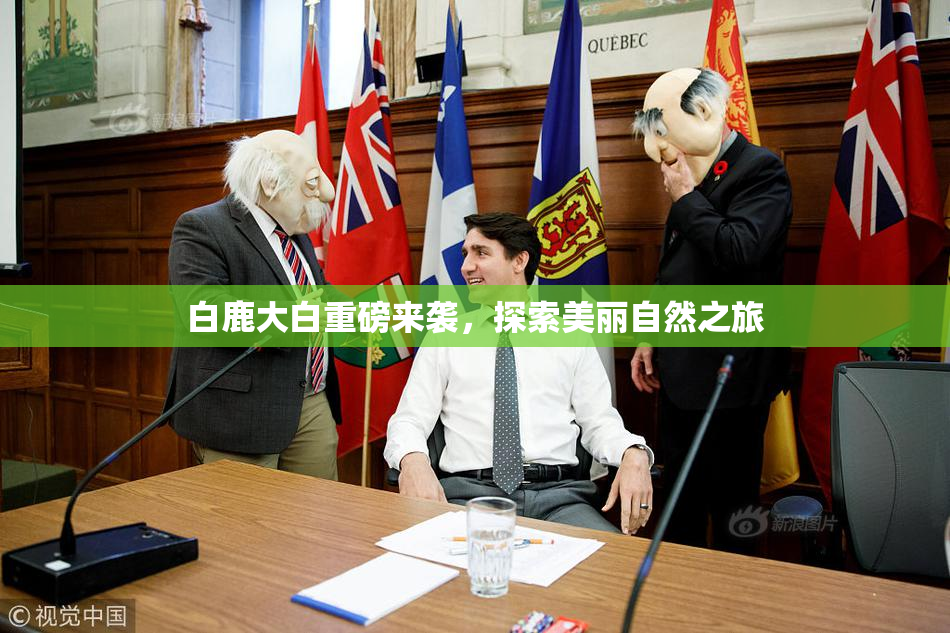 白鹿大白重磅来袭，探索美丽自然之旅