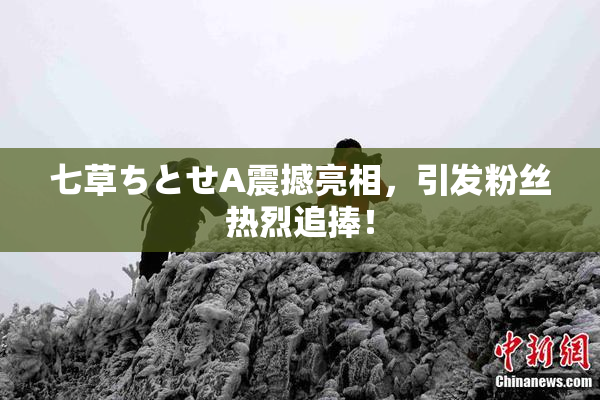 七草ちとせA震撼亮相，引发粉丝热烈追捧！