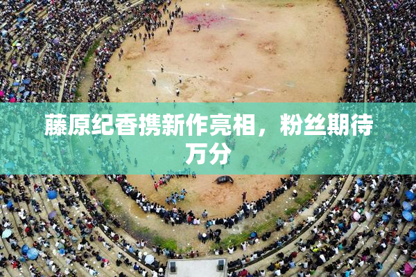 藤原纪香携新作亮相，粉丝期待万分