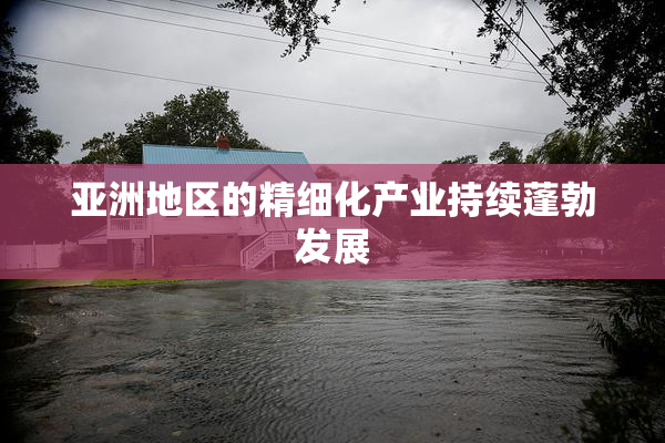 亚洲地区的精细化产业持续蓬勃发展