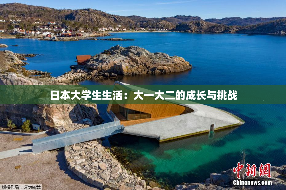 日本大学生生活：大一大二的成长与挑战