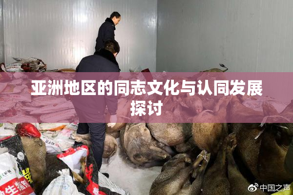 亚洲地区的同志文化与认同发展探讨