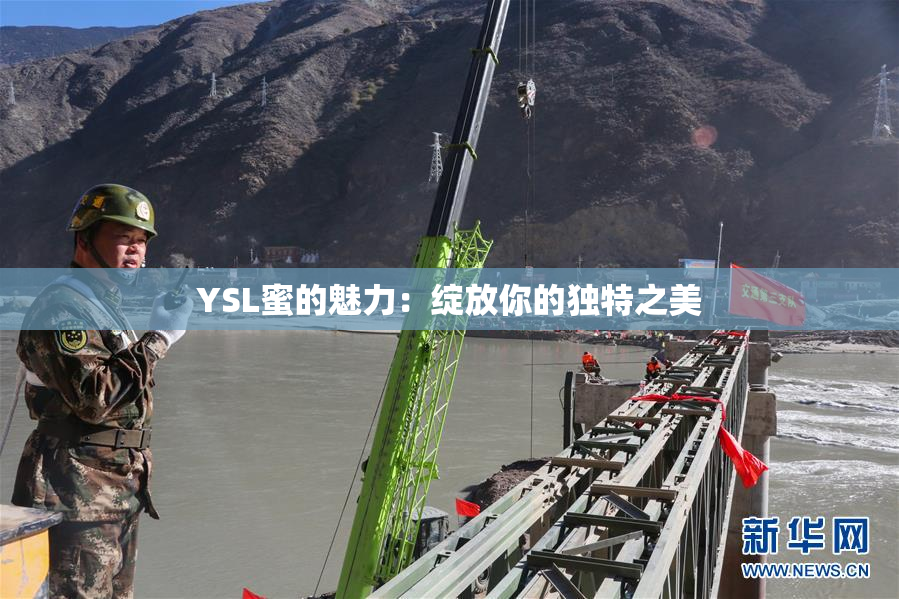 YSL蜜的魅力：绽放你的独特之美