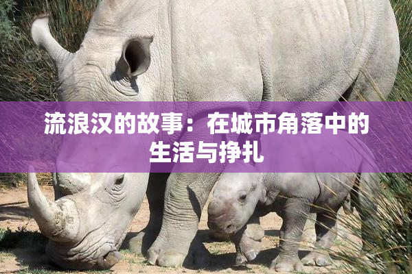 流浪汉的故事：在城市角落中的生活与挣扎