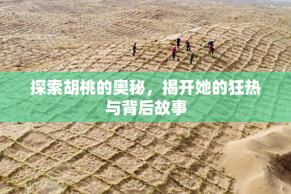 探索胡桃的奥秘，揭开她的狂热与背后故事