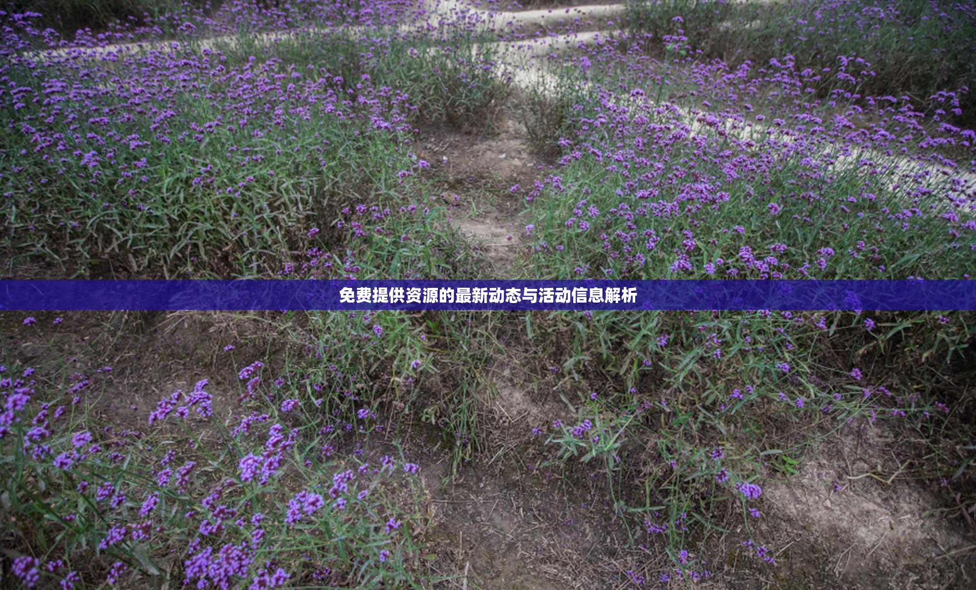 免费提供资源的最新动态与活动信息解析