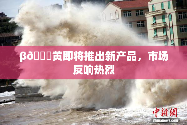 β🔞黄即将推出新产品，市场反响热烈