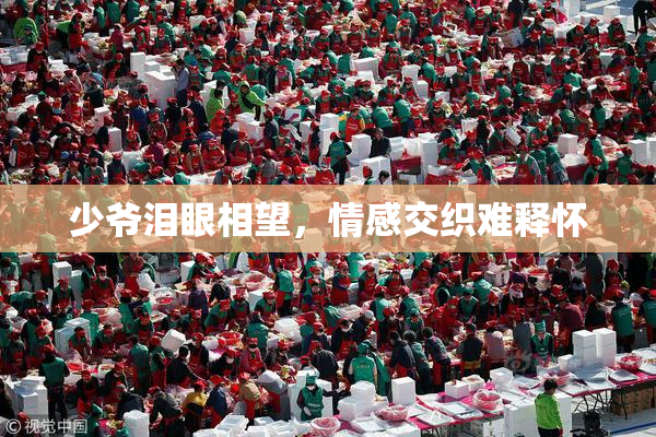 少爷泪眼相望，情感交织难释怀