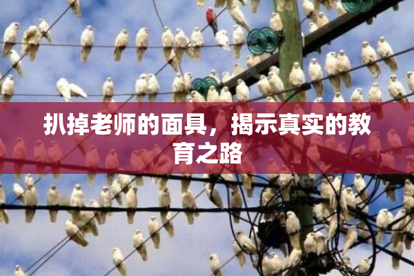 扒掉老师的面具，揭示真实的教育之路