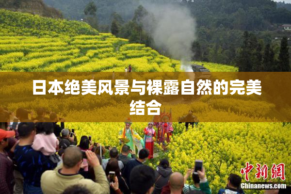 日本绝美风景与裸露自然的完美结合
