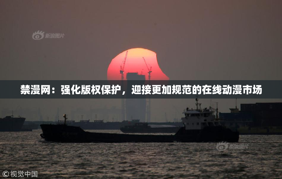 禁漫网：强化版权保护，迎接更加规范的在线动漫市场