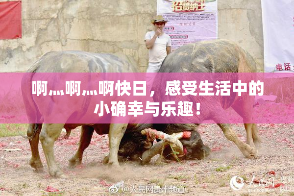 啊灬啊灬啊快日，感受生活中的小确幸与乐趣！
