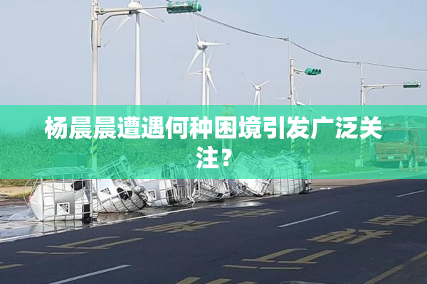 杨晨晨遭遇何种困境引发广泛关注？