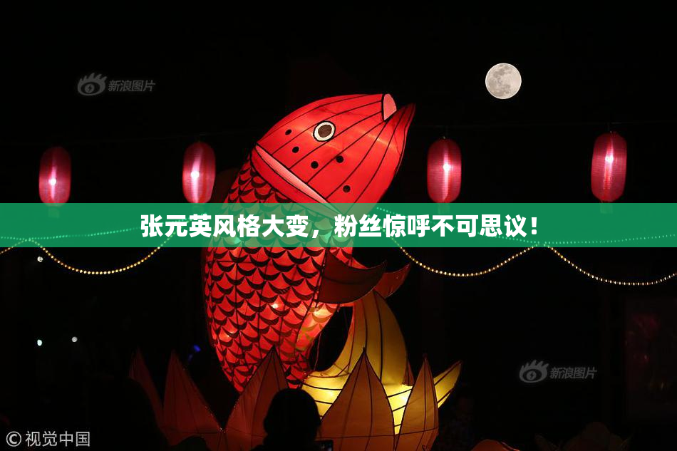 张元英风格大变，粉丝惊呼不可思议！