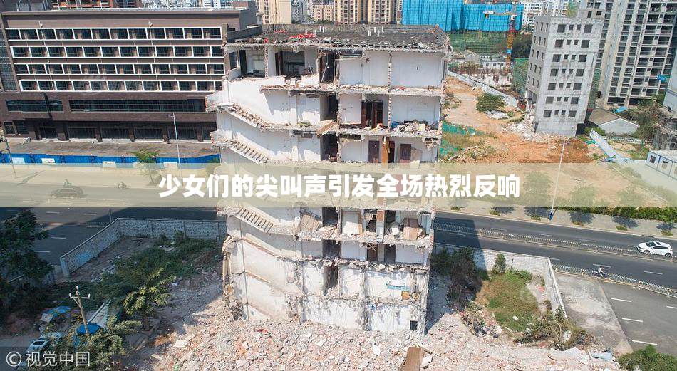 少女们的尖叫声引发全场热烈反响