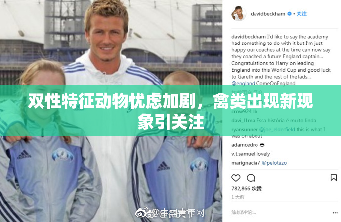双性特征动物忧虑加剧，禽类出现新现象引关注