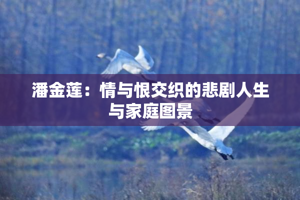 潘金莲：情与恨交织的悲剧人生与家庭图景