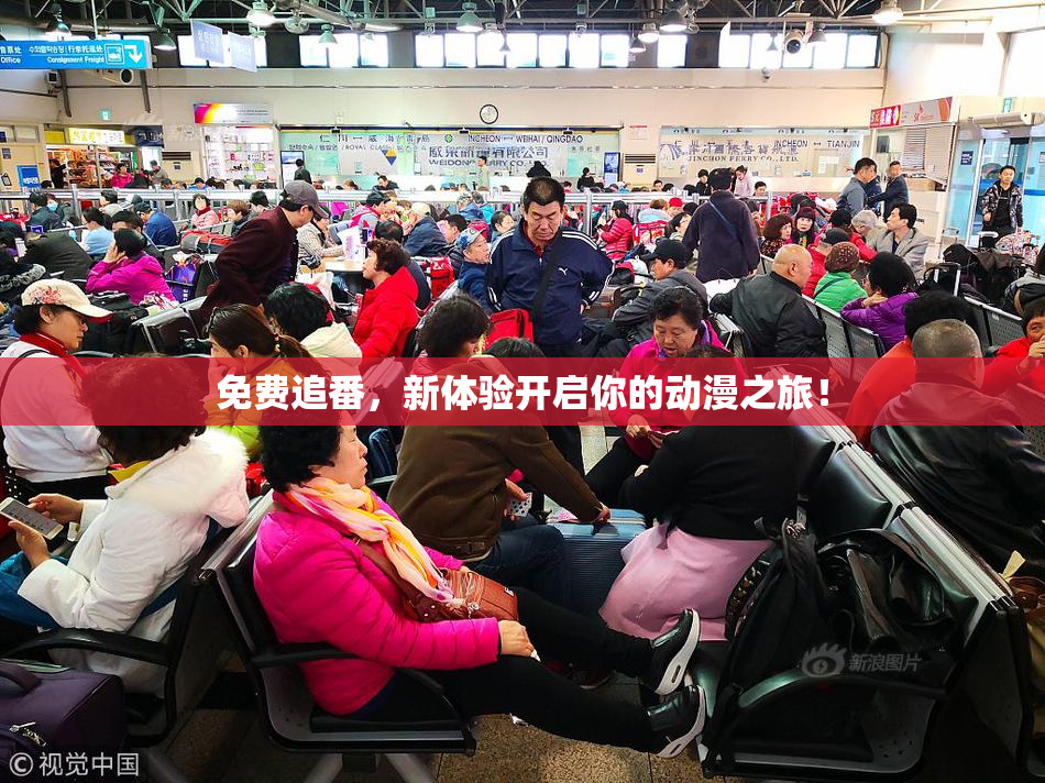 免费追番，新体验开启你的动漫之旅！