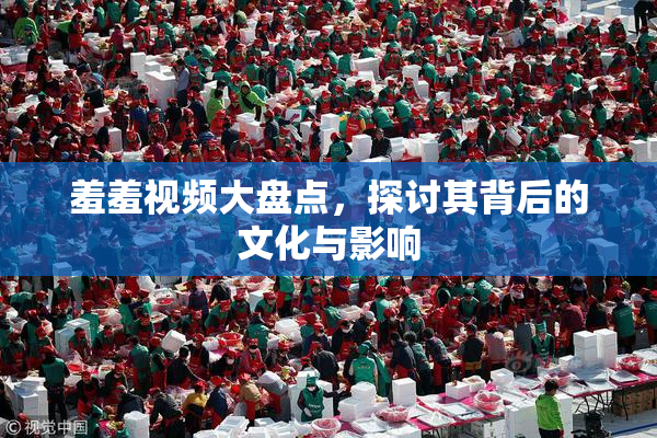 羞羞视频大盘点，探讨其背后的文化与影响