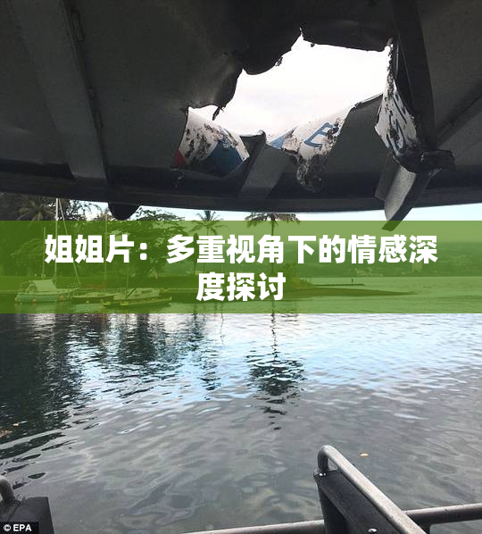 姐姐片：多重视角下的情感深度探讨