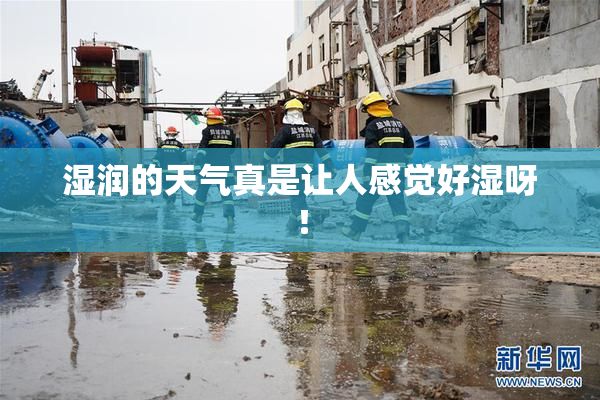 湿润的天气真是让人感觉好湿呀！