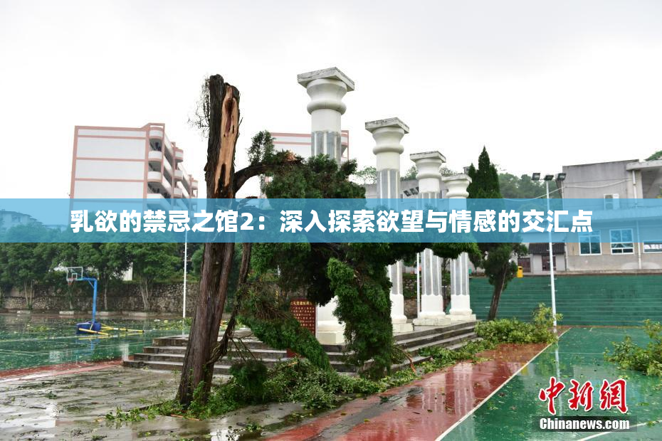 乳欲的禁忌之馆2：深入探索欲望与情感的交汇点