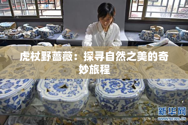 虎杖野蔷薇：探寻自然之美的奇妙旅程