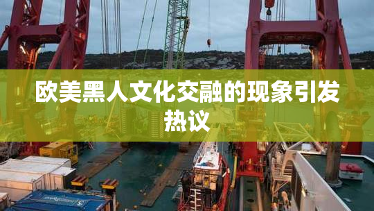 欧美黑人文化交融的现象引发热议