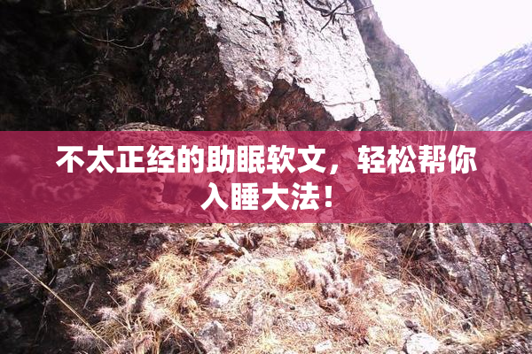 不太正经的助眠软文，轻松帮你入睡大法！
