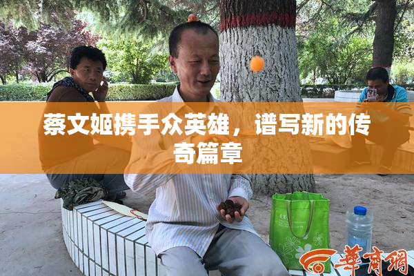 蔡文姬携手众英雄，谱写新的传奇篇章