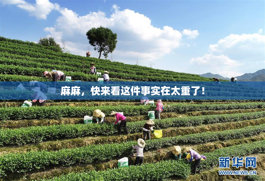 麻麻，快来看这件事实在太重了！