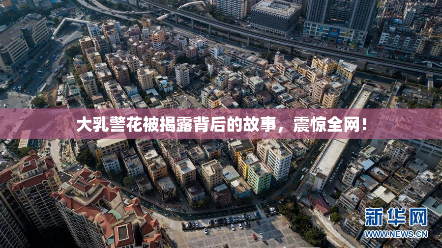 大乳警花被揭露背后的故事，震惊全网！
