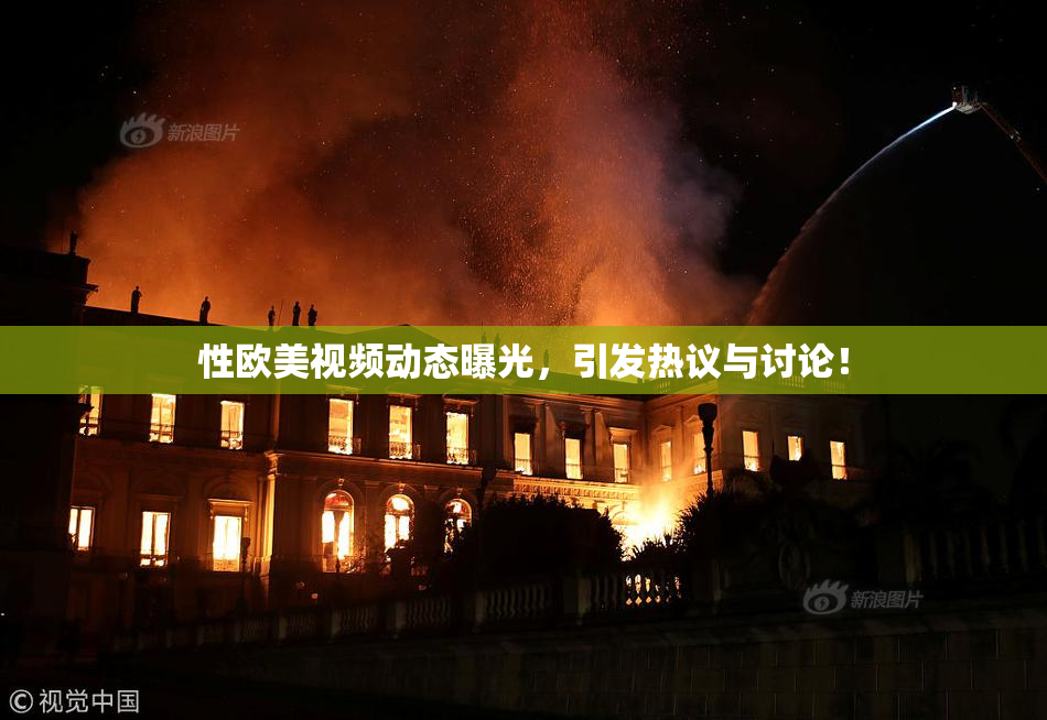 性欧美视频动态曝光，引发热议与讨论！