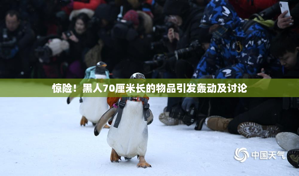 惊险！黑人70厘米长的物品引发轰动及讨论