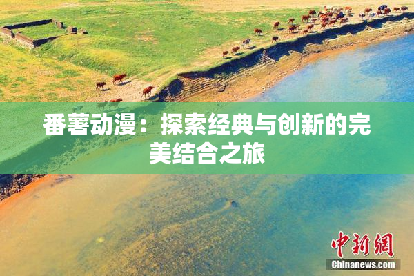 番薯动漫：探索经典与创新的完美结合之旅