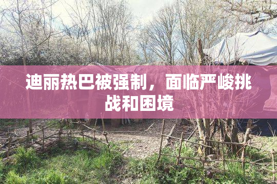 迪丽热巴被强制，面临严峻挑战和困境