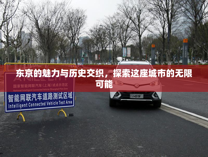 东京的魅力与历史交织，探索这座城市的无限可能