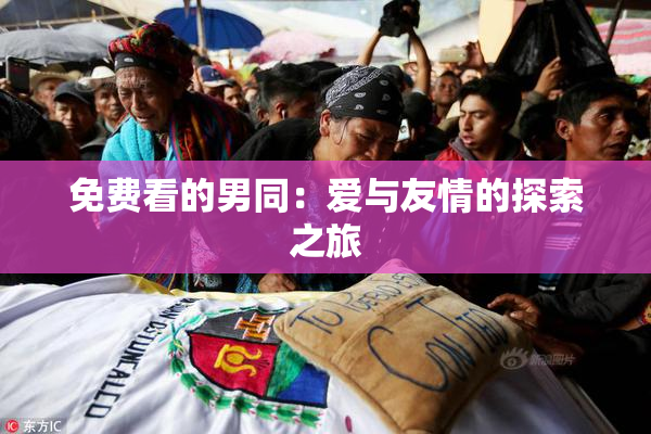 免费看的男同：爱与友情的探索之旅