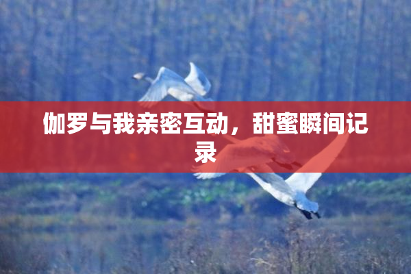 伽罗与我亲密互动，甜蜜瞬间记录