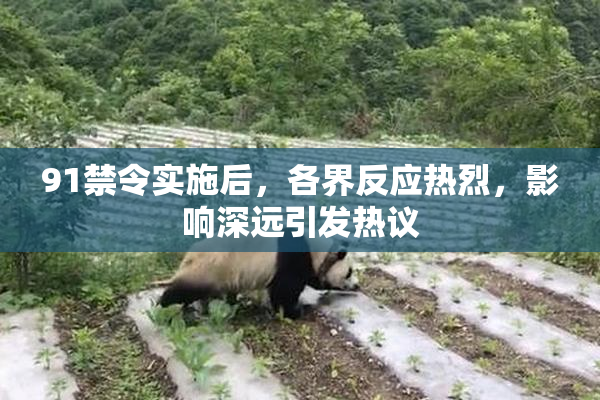 91禁令实施后，各界反应热烈，影响深远引发热议