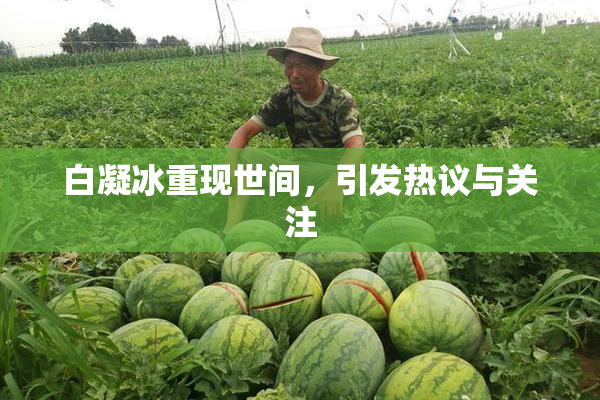 白凝冰重现世间，引发热议与关注