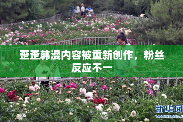 歪歪韩漫内容被重新创作，粉丝反应不一