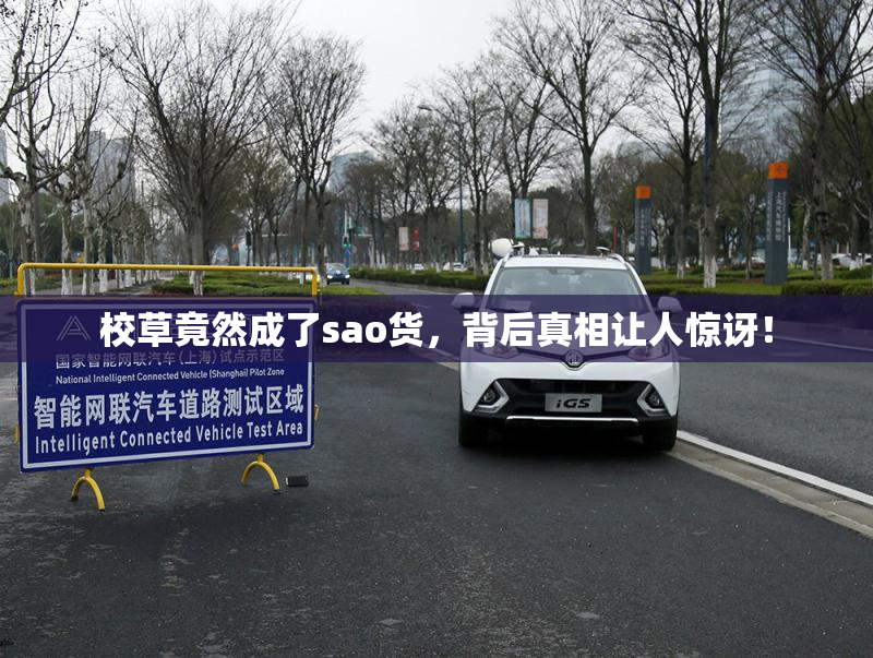 校草竟然成了sao货，背后真相让人惊讶！