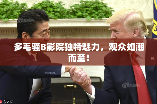 多毛骚B影院独特魅力，观众如潮而至！
