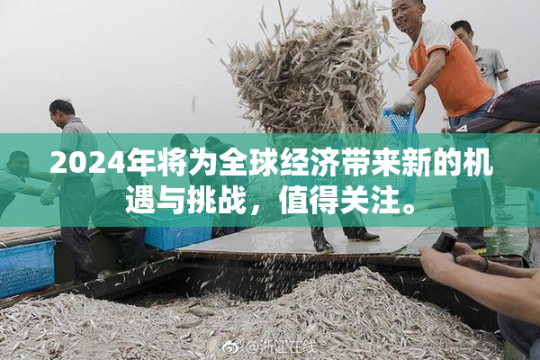 2024年将为全球经济带来新的机遇与挑战，值得关注。
