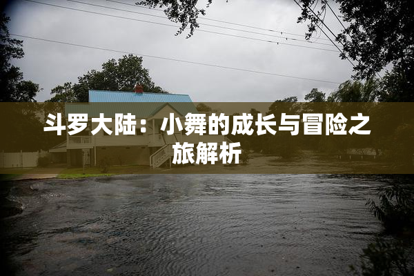 斗罗大陆：小舞的成长与冒险之旅解析