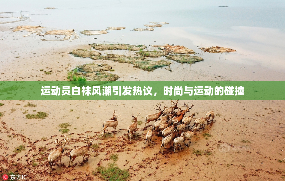 运动员白袜风潮引发热议，时尚与运动的碰撞